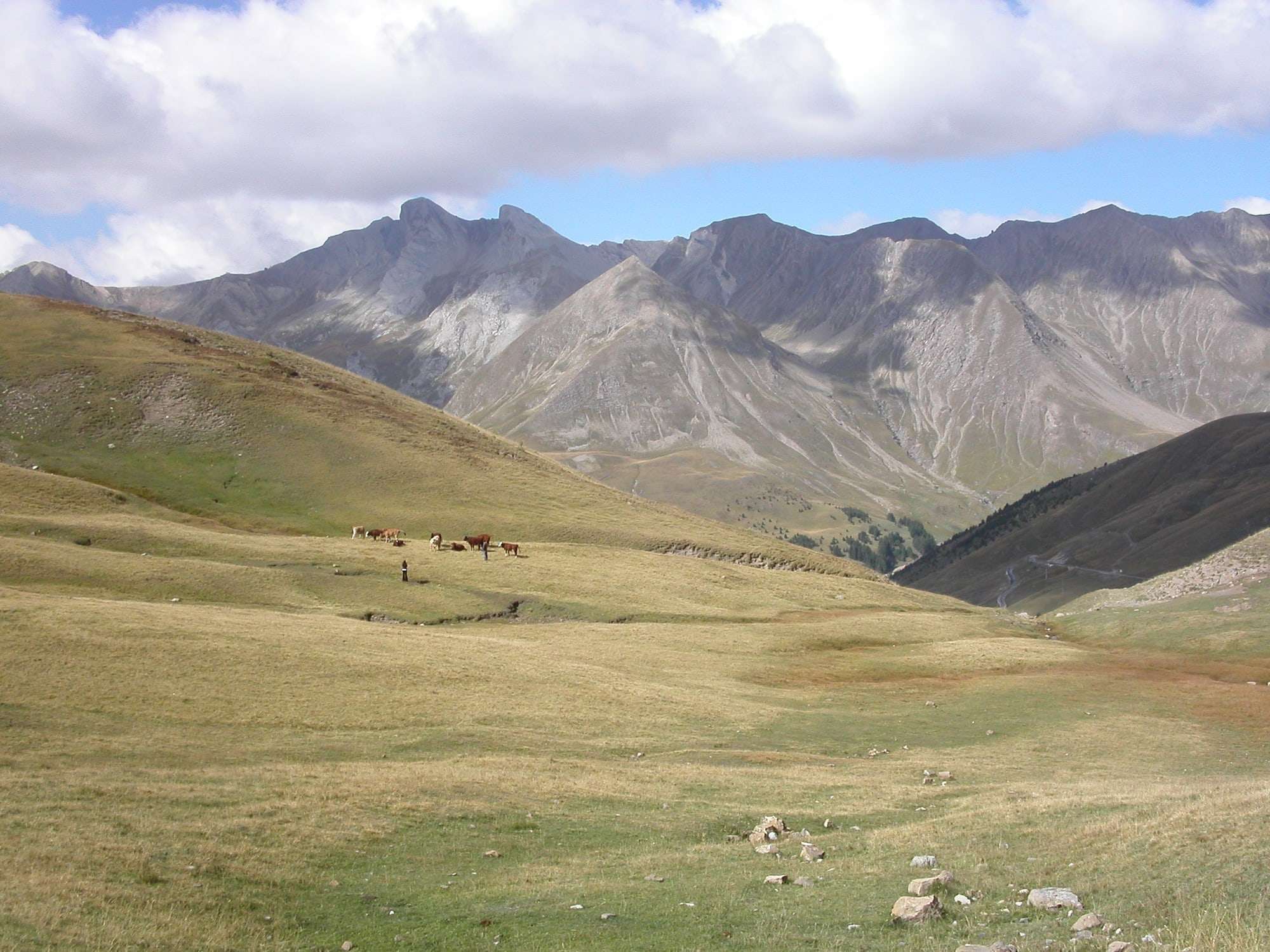 Alpages et montagnes arides autour du col d'Allos