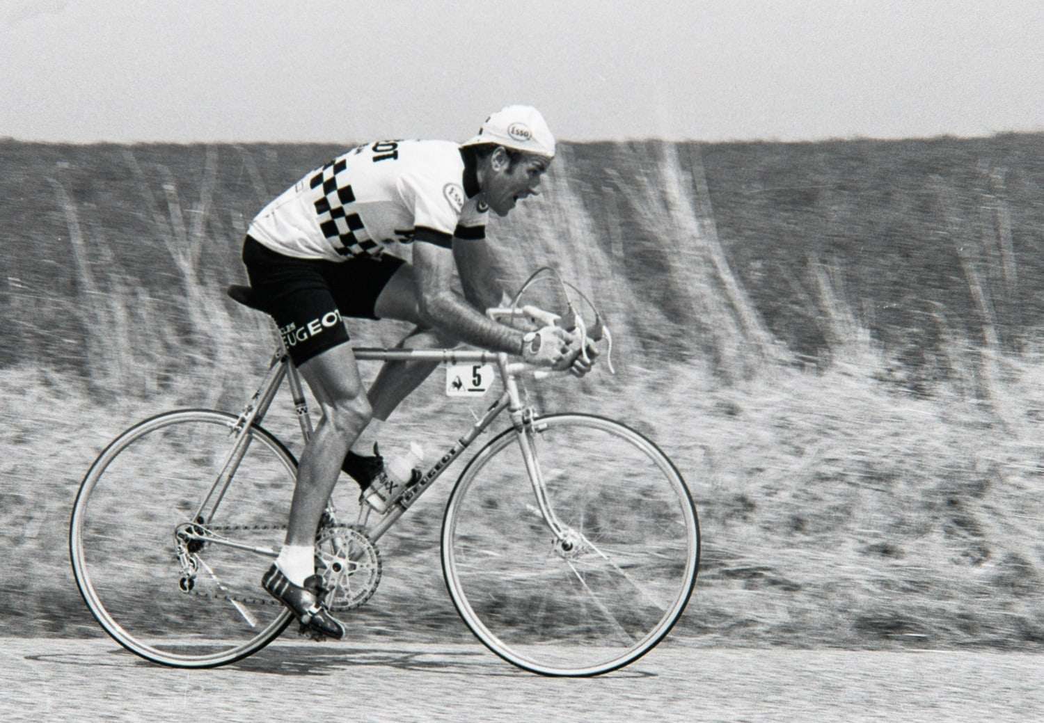 Raymond Delisle en maillot Peugeot, en course le long d'un champ